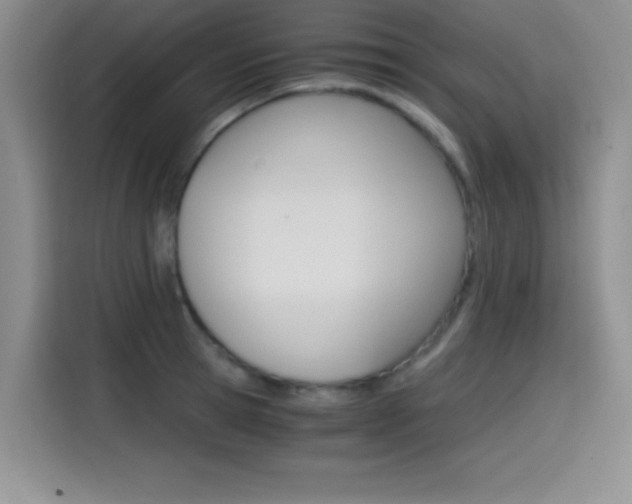 X0000114640945200910200938
