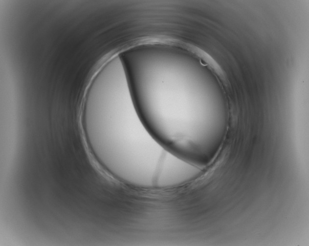 X0000114640946200910200938
