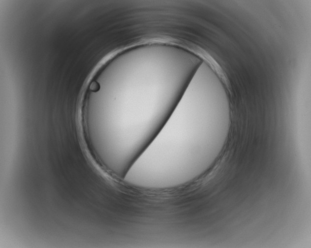 X0000114640947200910200938