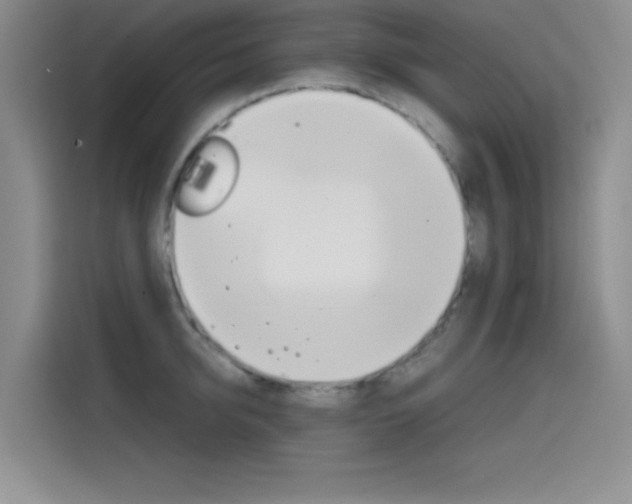 X0000114640950200910200938