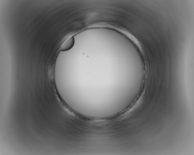 X0000114640953200910200938