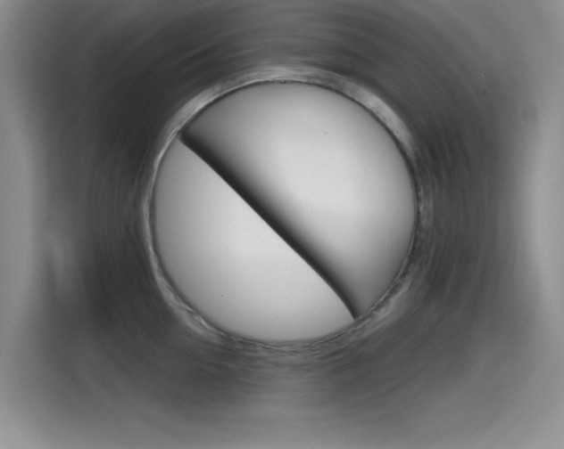 X0000114640954200910200938