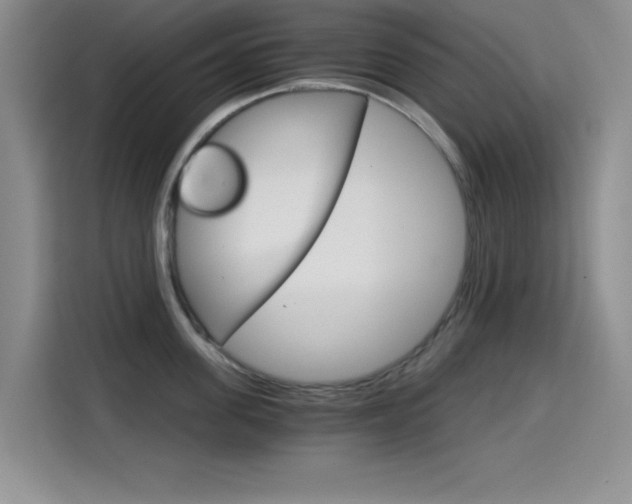 X0000114640955200910200938