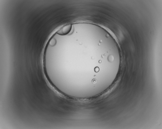 X0000114640957200910200938