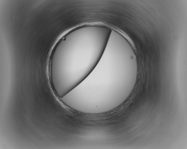 X0000114640959200910200938