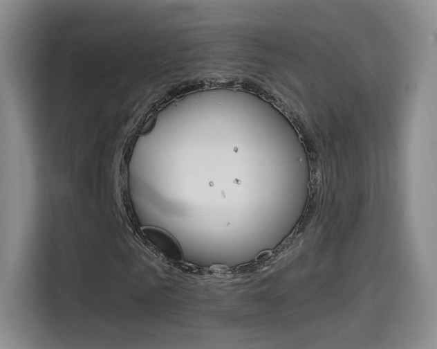 X0000114640961200910200937