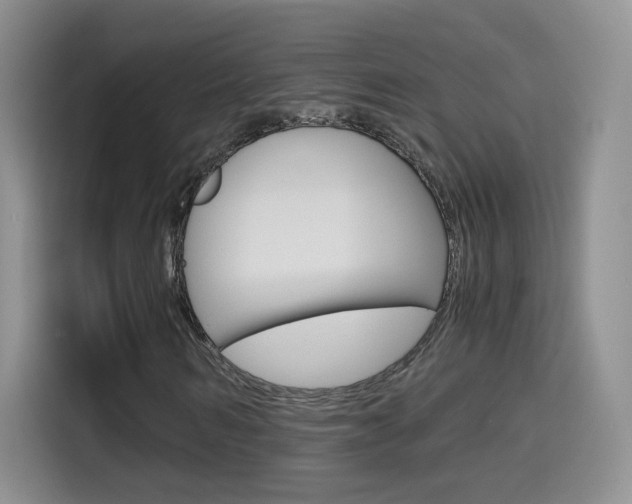 X0000114640962200910200937