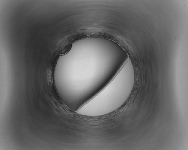 X0000114640964200910200937