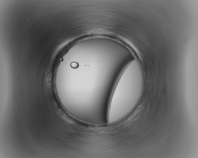 X0000114640971200910200937