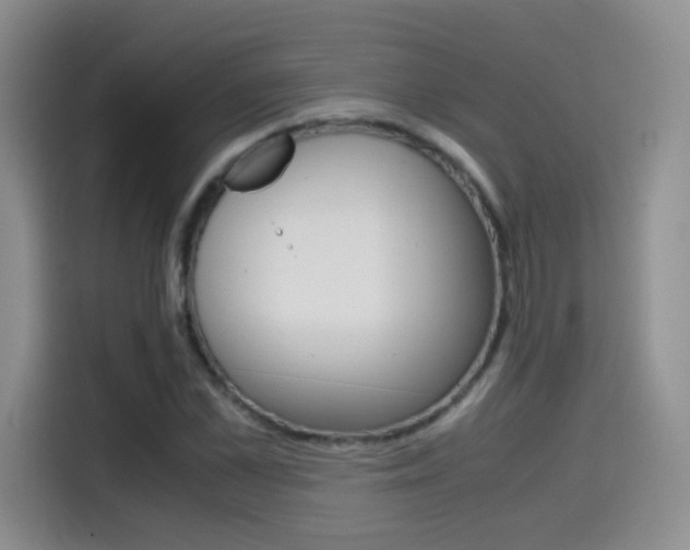X0000114640973200910200937