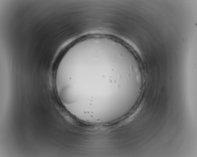X0000114640974200910200937
