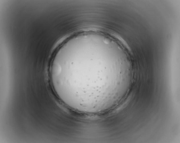X0000114640978200910200937
