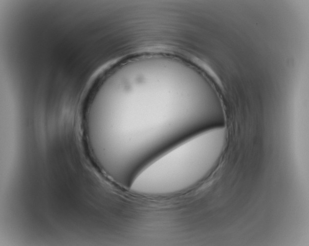 X0000114640979200910200937
