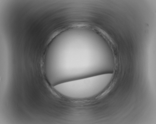X0000114640985200910200937