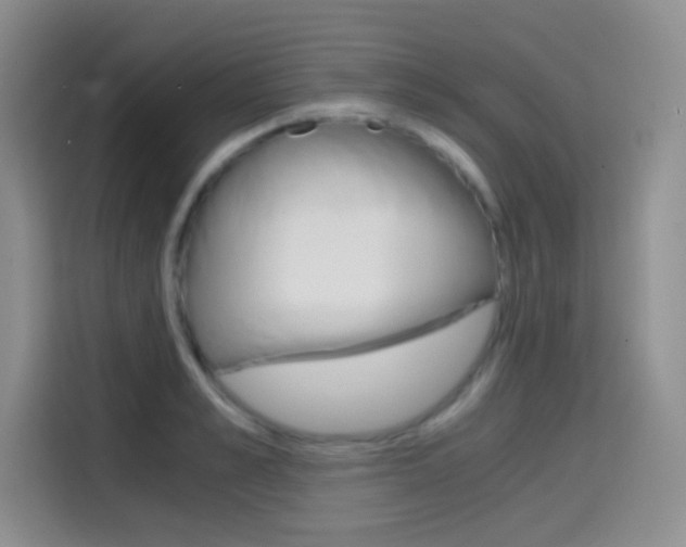 X0000114640989200910200937