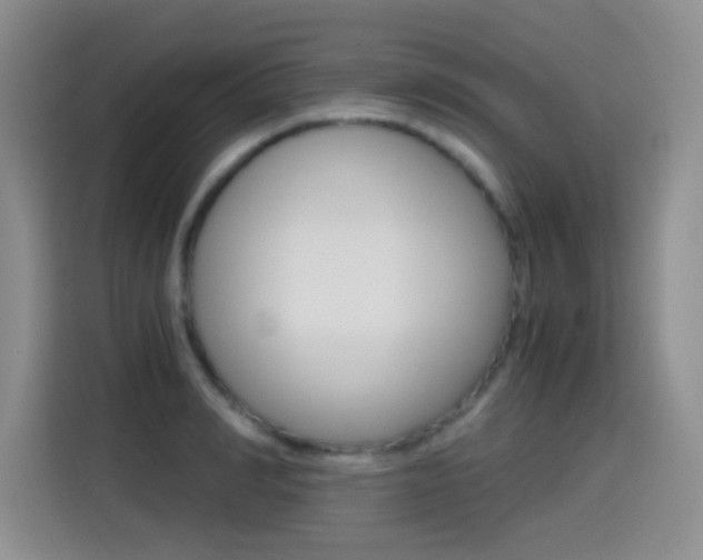 X0000114640990200910200937