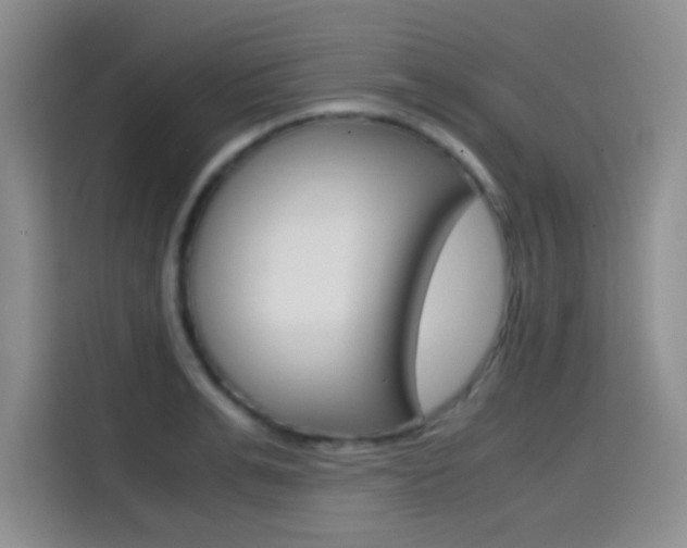 X0000114640991200910200937