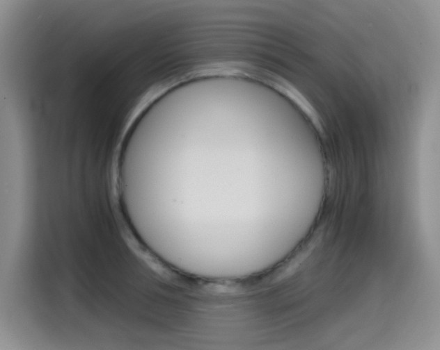 X0000114640994200910200937