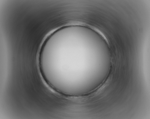 X0000114640995200910200937