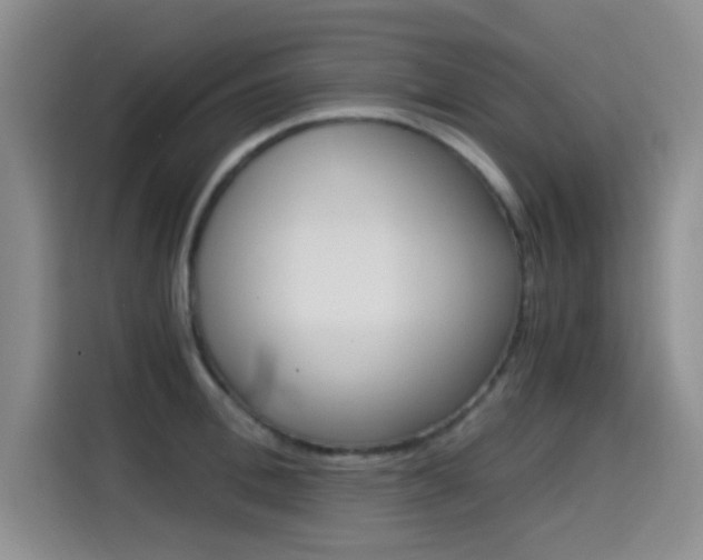 X0000114640996200910200937