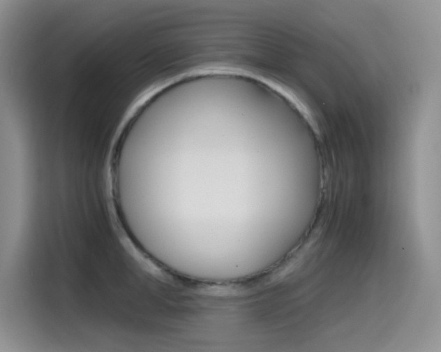 X0000114640998200910200937