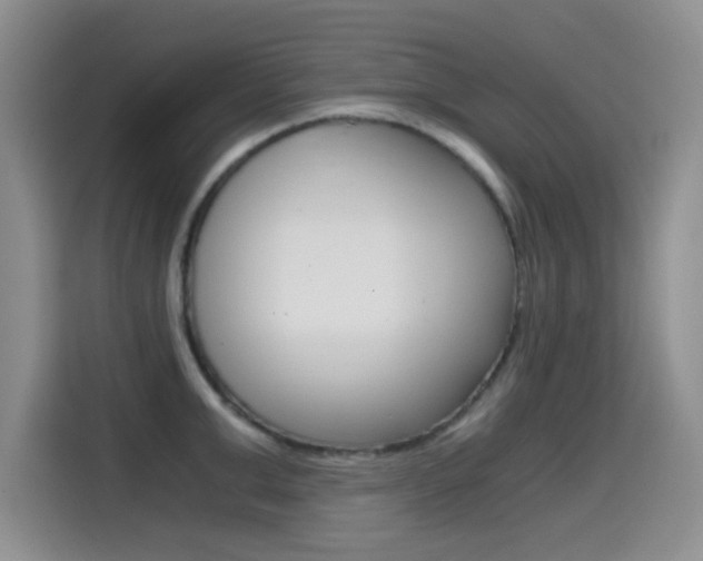 X0000114640999200910200937