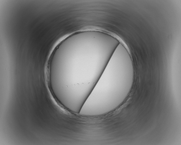 X0000114641003200910200937
