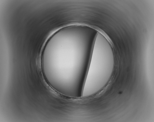 X0000114641004200910200937