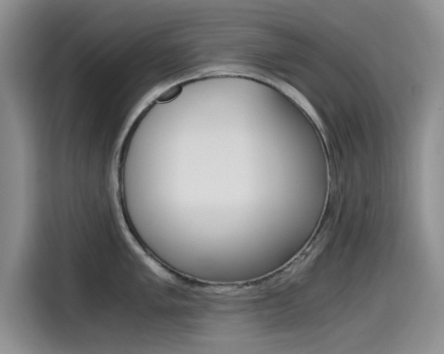 X0000114641005200910200937