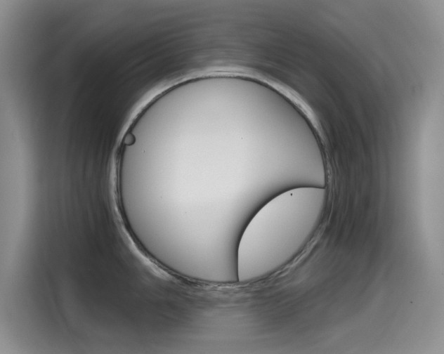 X0000114641006200910200937