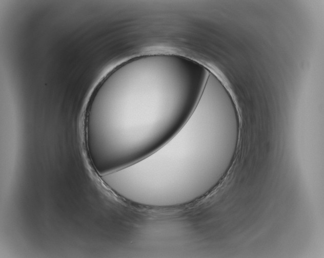 X0000114641008200910200937