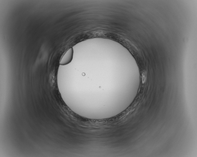 X0000114641011200910200936