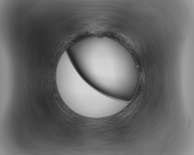 X0000114641012200910200936