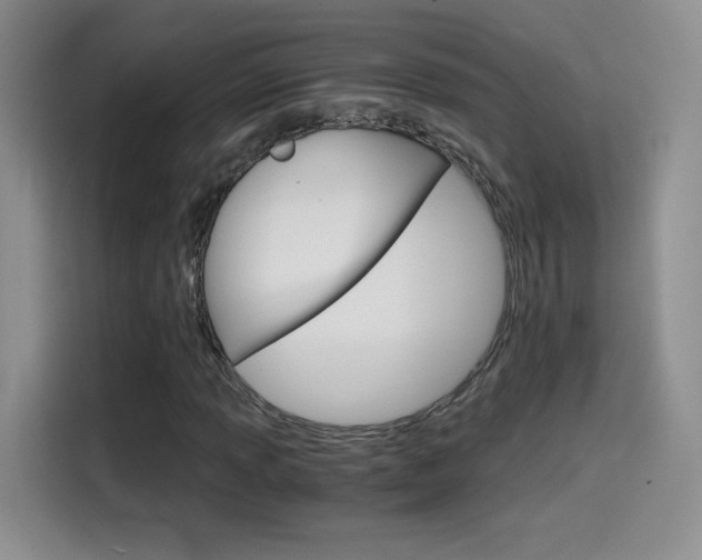 X0000114641013200910200936