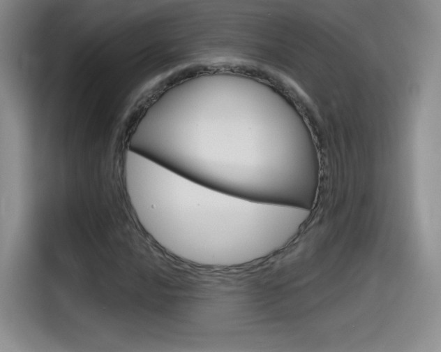 X0000114641016200910200936