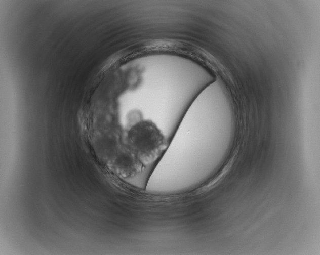 X0000114641017200910200936