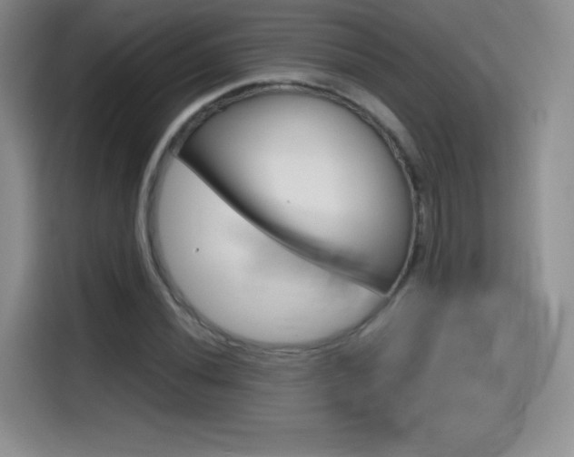 X0000114641020200910200936