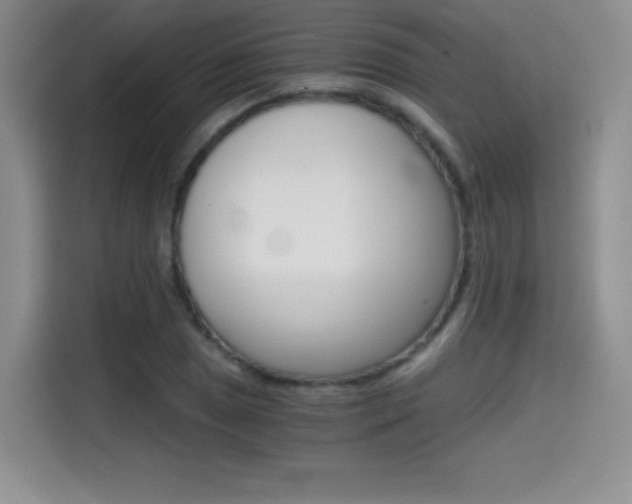 X0000114641025200910200936