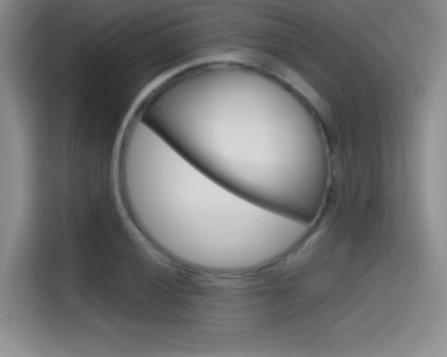 X0000114641028200910200936