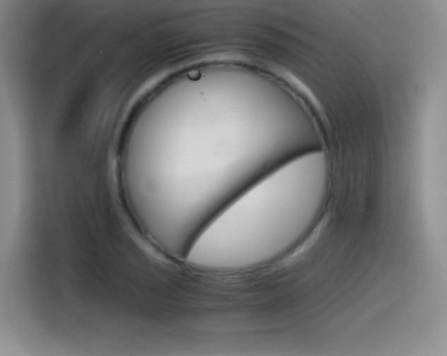X0000114641029200910200936