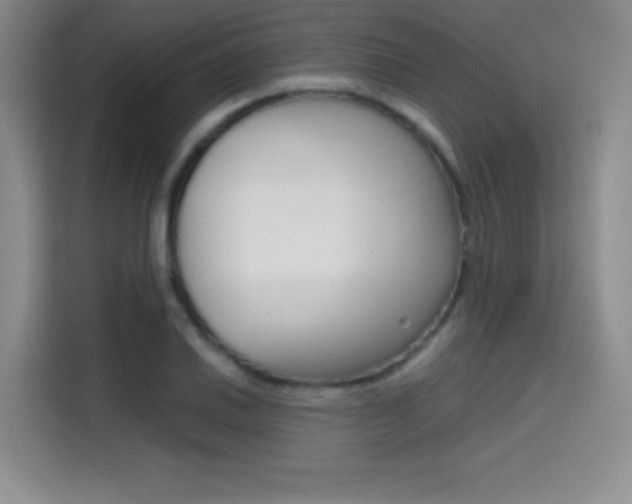 X0000114641030200910200936