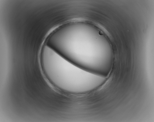 X0000114641034200910200937