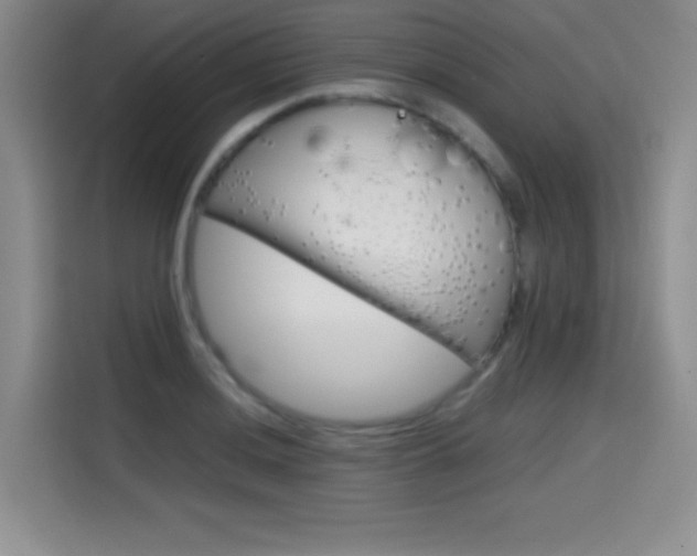 X0000114641036200910200937