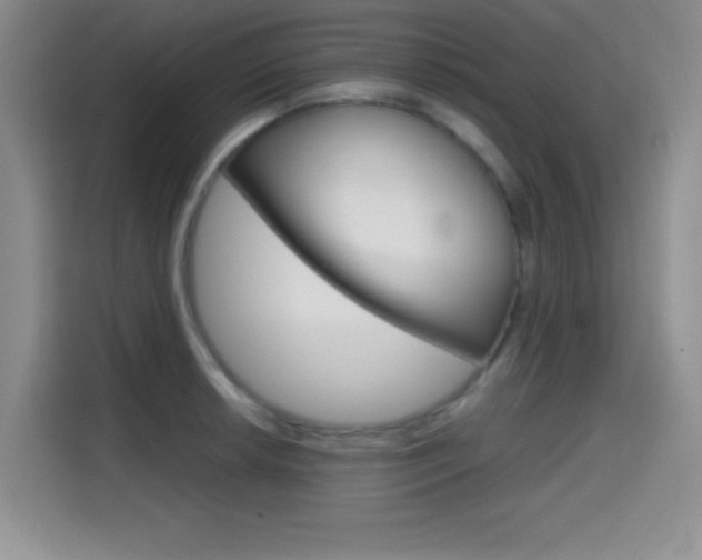X0000114641042200910200937