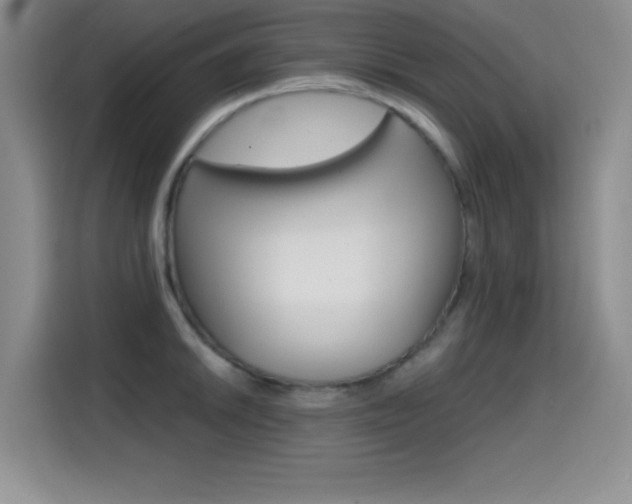 X0000114641046200910200937