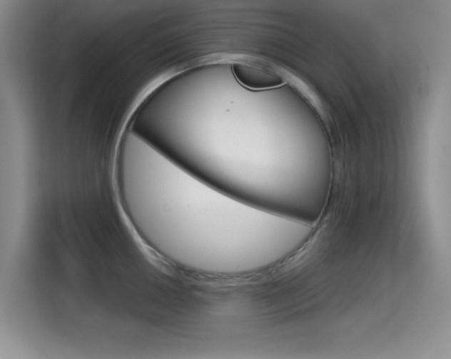 X0000114641050200910200937