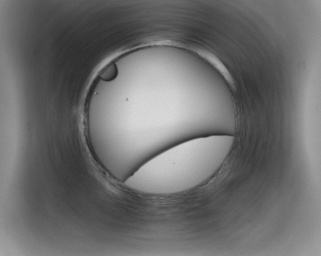 X0000114641051200910200937