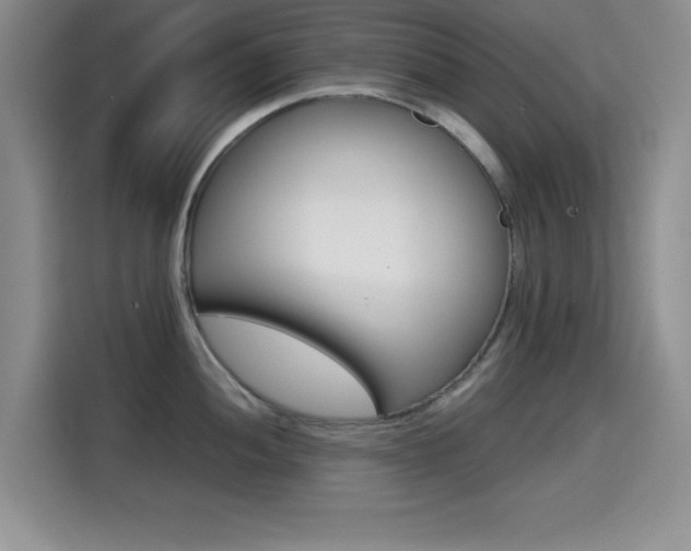 X0000114641052200910200937