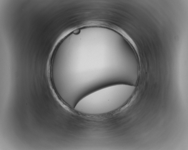 X0000114641053200910200937