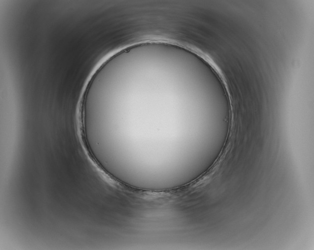 X0000114641056200910200937
